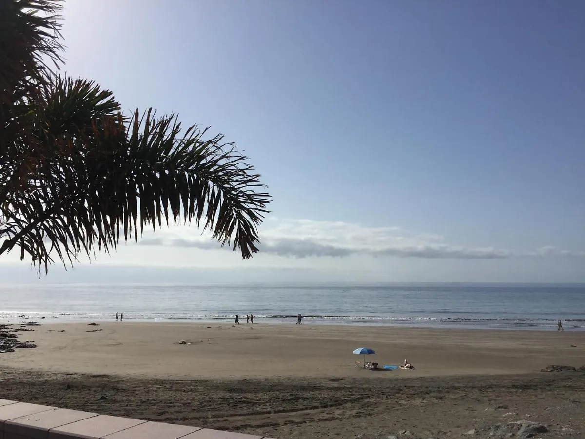 Ocean View Apartment Agustino Beach San Agustin   San Agustin (Gran Canaria)